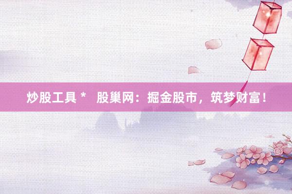 炒股工具 *   股巢网：掘金股市，筑梦财富！