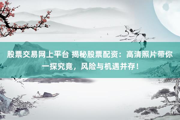股票交易网上平台 揭秘股票配资：高清照片带你一探究竟，风险与机遇并存！