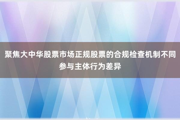 聚焦大中华股票市场正规股票的合规检查机制不同参与主体行为差异