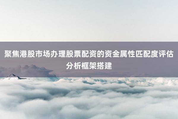 聚焦港股市场办理股票配资的资金属性匹配度评估分析框架搭建