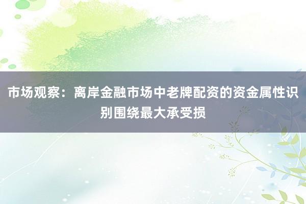 市场观察：离岸金融市场中老牌配资的资金属性识别围绕最大承受损