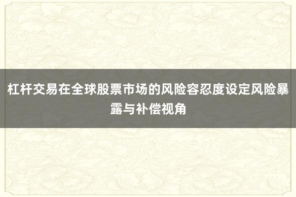 杠杆交易在全球股票市场的风险容忍度设定风险暴露与补偿视角