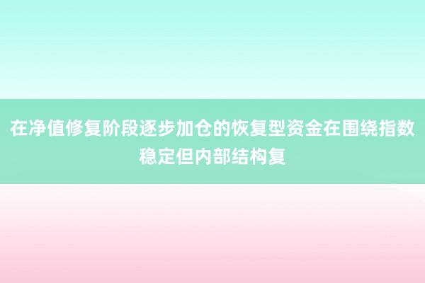 在净值修复阶段逐步加仓的恢复型资金在围绕指数稳定但内部结构复