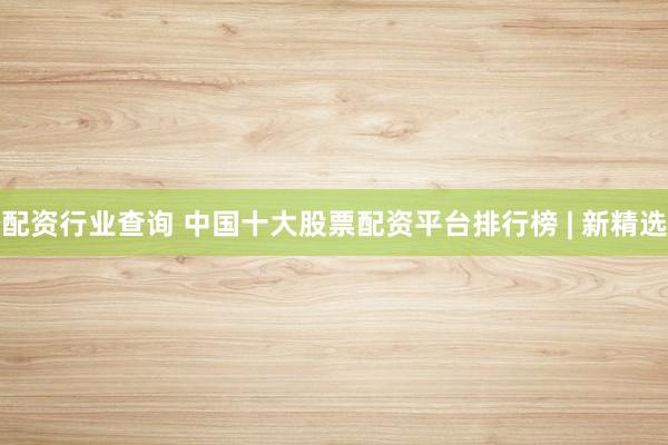 配资行业查询 中国十大股票配资平台排行榜 | 新精选