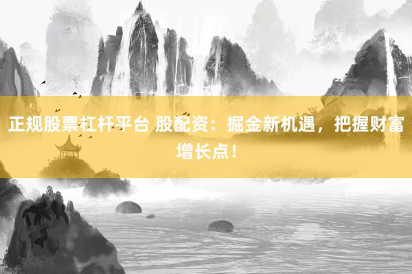 正规股票杠杆平台 股配资：掘金新机遇，把握财富增长点！