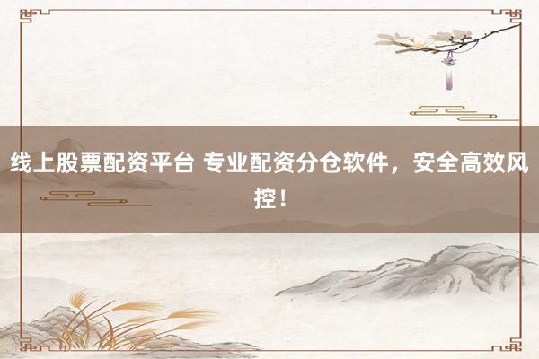 线上股票配资平台 专业配资分仓软件，安全高效风控！