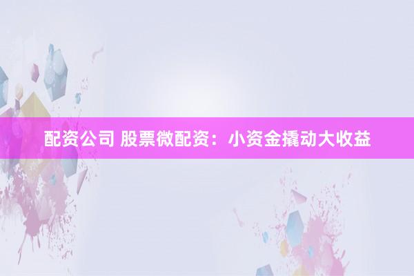 配资公司 股票微配资：小资金撬动大收益